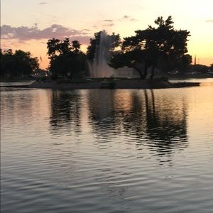 Meet your Posher, Daisy